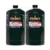Bernzomatic 1 lb. Camping Gas Cylinders (2-Pack)