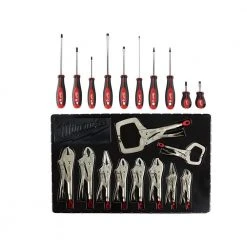 Milwaukee Screwdriver and Torque Lock Locking Pliers Kit (20-Piece)